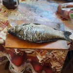 20230930_122750.webp