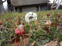 IMG_20191012_085752.webp
