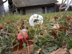 IMG_20191012_085752.jpg