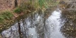 IMG_20231006_163524.jpg