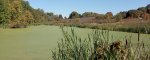 IMG_20230914_102738.jpg