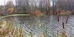 IMG_20231021_112049.jpg