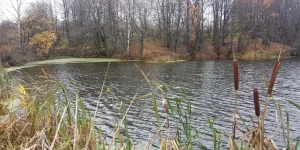 IMG_20231021_112049.jpg