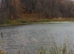 IMG_20231021_112248.jpg