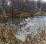 IMG_20231021_112128.webp
