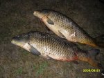 IMG_0045.jpeg