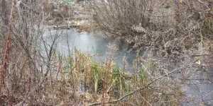 IMG_20231027_154731.webp