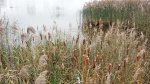 IMG_20231030_120938.jpg