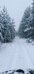 InShot_20231101_200734269.jpg InShot_20231101_200734269.jpg