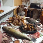 MIvXnr_jLHE.webp