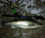 IMG_20231118_114856.jpg