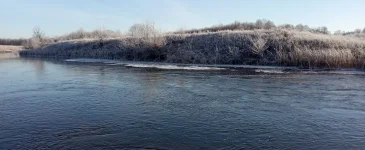 IMG_20231119_100926.jpg