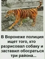 18638835.webp