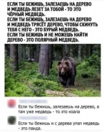 AN9mHueZqek.webp
