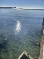 IMG_5983.jpeg