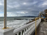 IMG_5929.jpeg