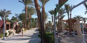 IMG_20231214_094042.webp