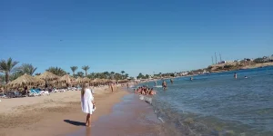 IMG_20231215_124556.webp