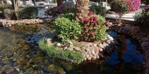 IMG_20231216_142124.webp