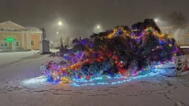 e5b5bd7b29103c7b1f6f30e55c450715.jpg
