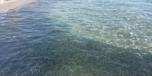 IMG_20231217_111635.jpg