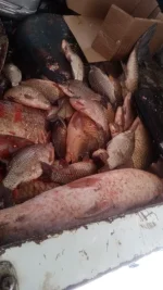 700390.webp 700390.webp