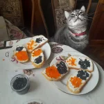 TcNn1xJxGP8.webp