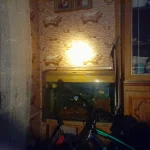 20240216_202246.webp