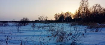 IMG_20240316_182739.webp