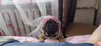 IMG-20240203-WA0000.webp