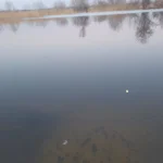 20240322_184114.webp