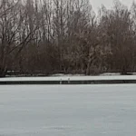 20240324_180433.jpg