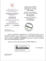 Screenshot_2024-03-25-13-37-37-106_com.vkontakte.android-edit.webp