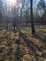 IMG-20240407-WA0023.webp