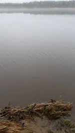 IMG-20240410-WA0002.jpeg