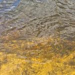 IMG-20240419-WA0036.webp IMG-20240419-WA0036.webp