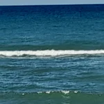 20240508_122023.webp