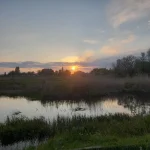 20240516_193607.webp