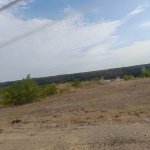 20240609_075845.jpg