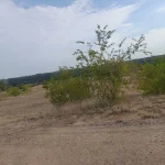 20240609_075844.webp 20240609_075844.webp
