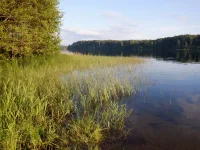 DSCF6296.webp