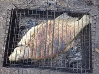 DSCF6410.webp