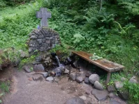 DSCF6452.webp