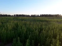 IMG-20240622-WA0000.webp