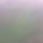 20240704_122117.webp