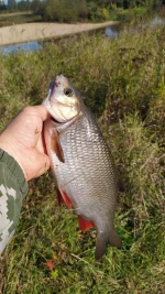 IMG_20240907_102835.webp
