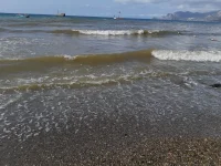 20240918_095506.webp