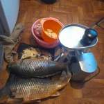 20240927_063836.webp