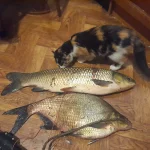 20241024_002519.jpg 20241024_002519.jpg