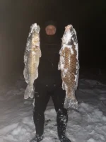 IMG-20241103-WA0007.webp